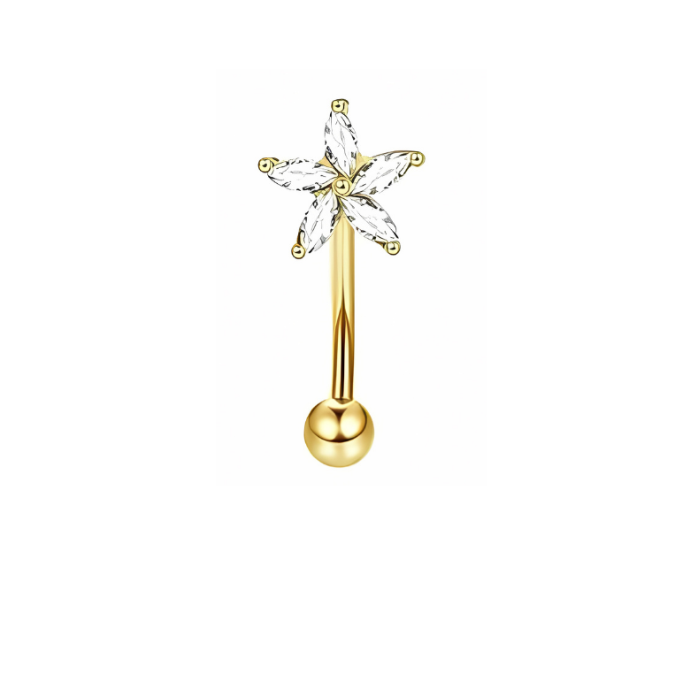 16G Gold Eyebrow Piercing with Zirconia Star , Rook Piercing Stainless Steel - No23Co