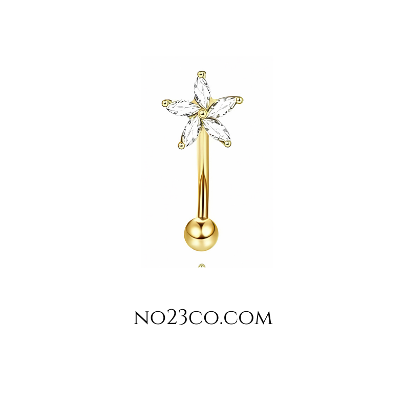 16G Gold Eyebrow Piercing with Zirconia Star , Rook Piercing Stainless Steel - No23Co