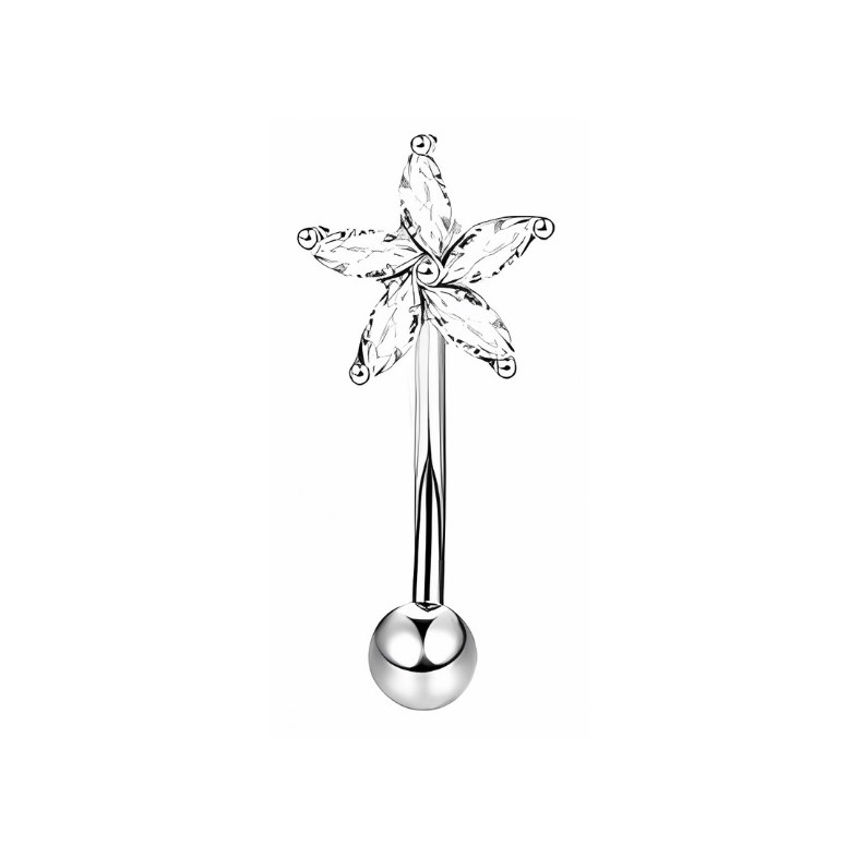 16G Silver Eyebrow Piercing with Zirconia Star , Rook Piercing Stainless Steel - No23Co