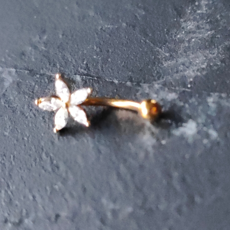 Gold Barbell with Zirconia Star for Eyebrow or Rook Piercing – 16G Stainless Steel Jewelry by No. 23 Co. Jewellery