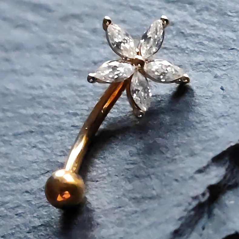 Gold Barbell with Zirconia Star for Eyebrow or Rook Piercing – 16G Stainless Steel Jewelry