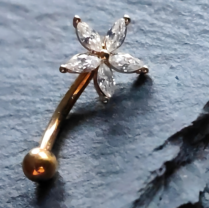 Gold Barbell with Zirconia Star for Eyebrow or Rook Piercing crafted by 16G Stainless Steel Jewelry
