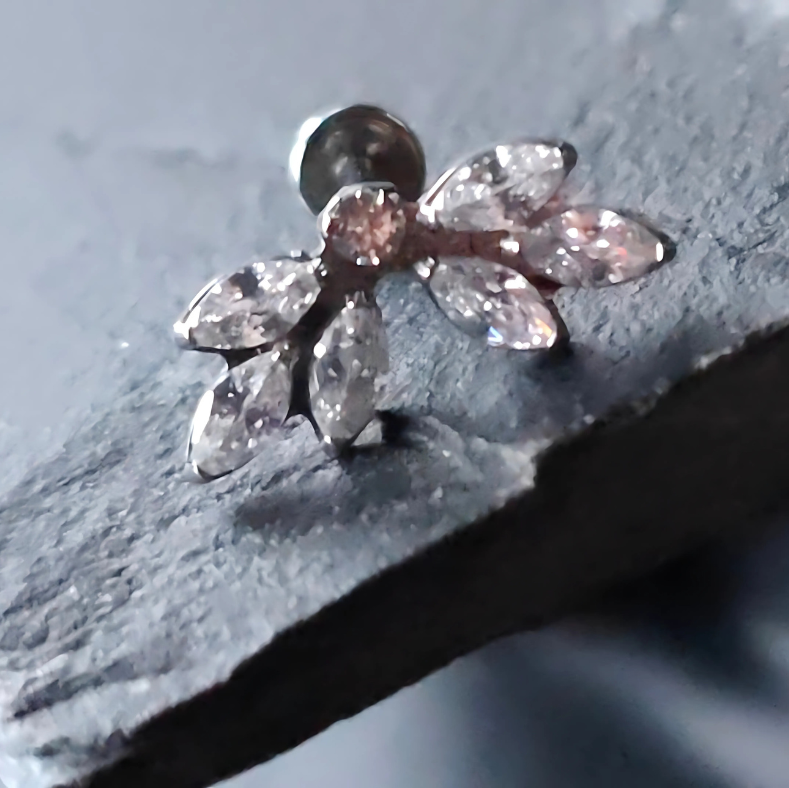 Implant Titanium Silver Earring 16G Helix/Tragus/Conch/Flat Piercing with Internal Thread