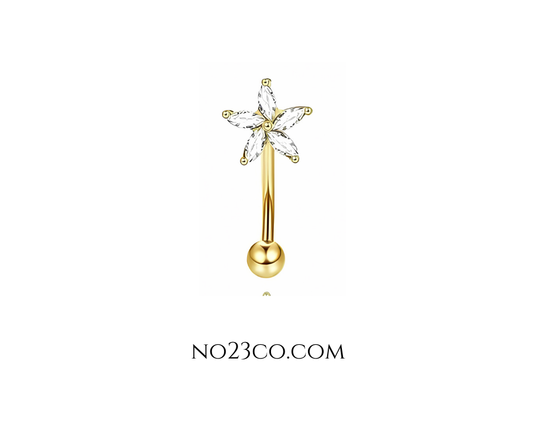 16G Gold Eyebrow Piercing with Zirconia Star , Rook Piercing Stainless Steel - No23Co