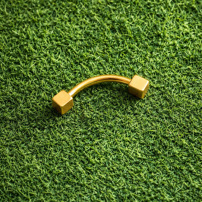 Gold curved eyebrow/rook bar on green grass