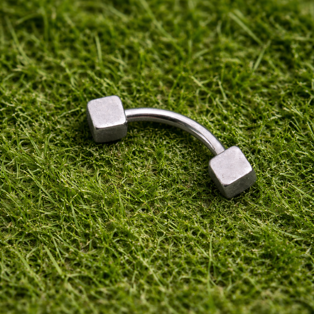 Silver curved eyebrow/rook earring on green grass