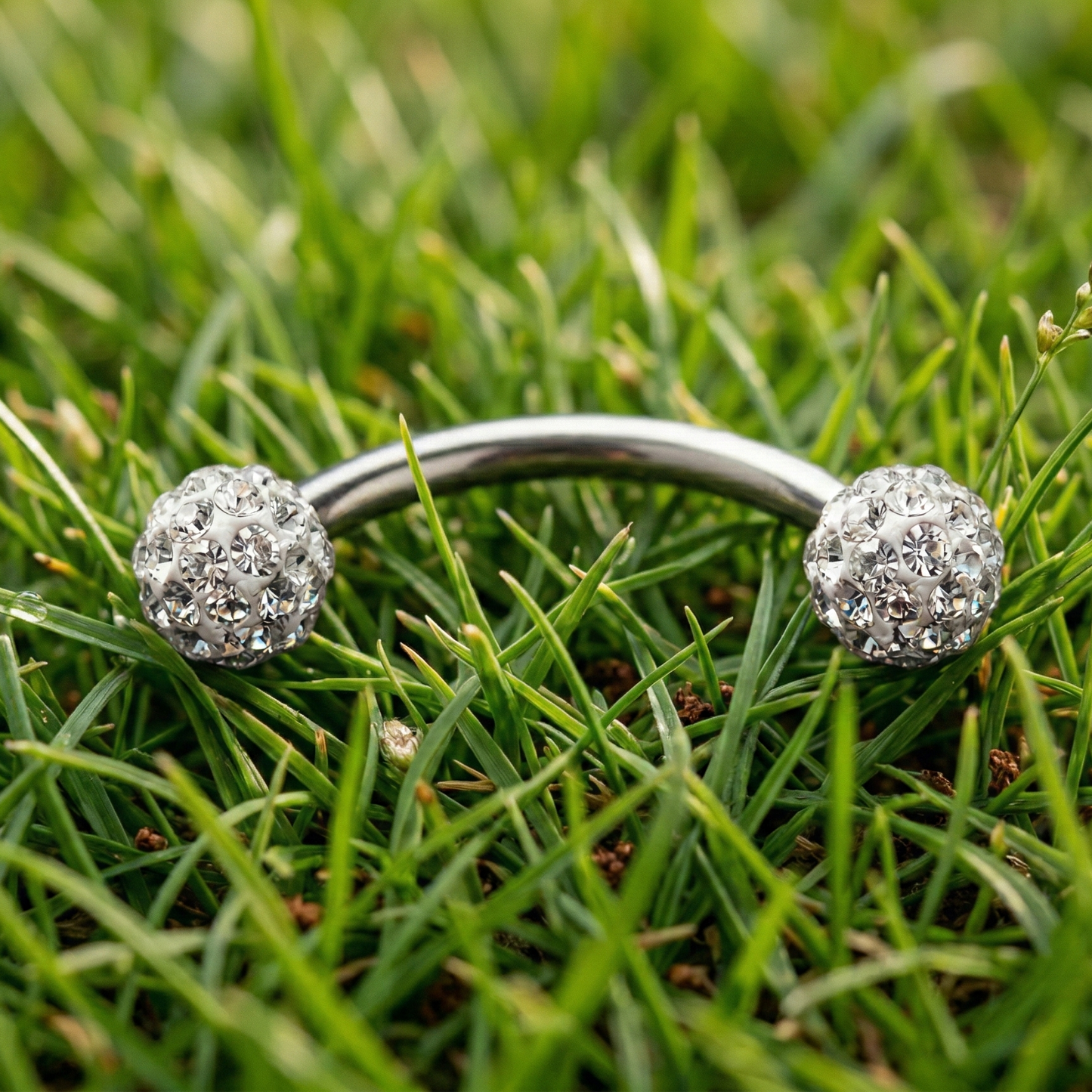 Silver eyebrow/rook bar with cubic zirconia on grass